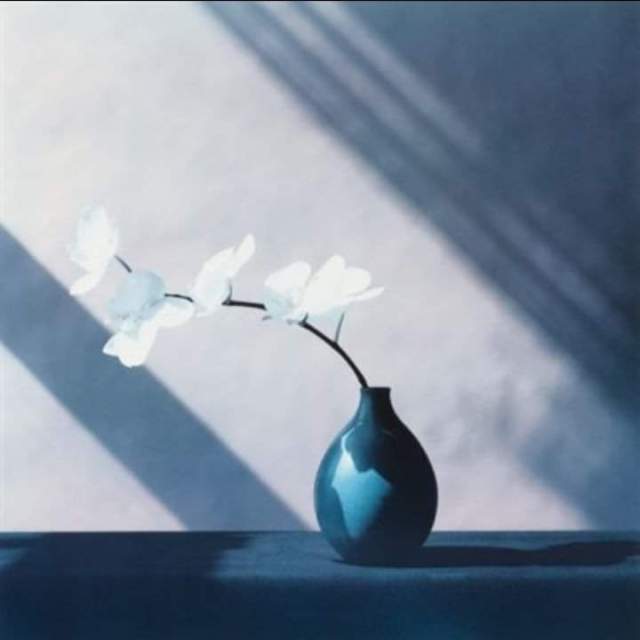 FB_IMG_1573139400463