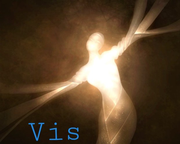 VIS
